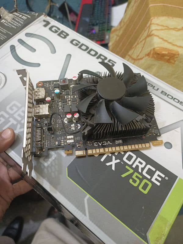 NVIDIA GTX 750 1GB (GDDR 5) 3