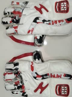 Cricket Hard Ball Kit