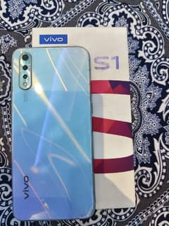 vivo