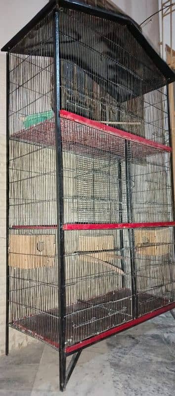 new condition cage 2