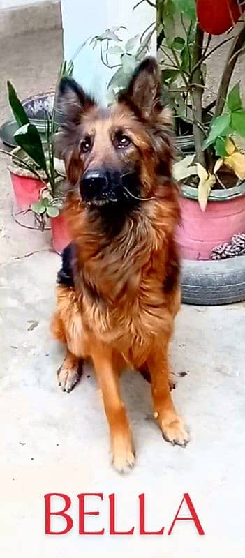 GSD Female loc peshawar 1