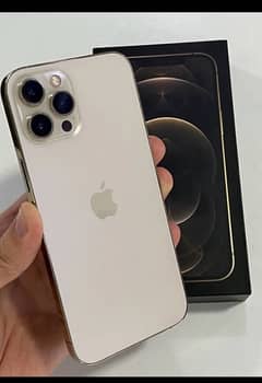 iphone 12 pro max pta approved