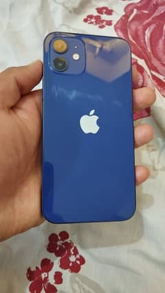 Iphone 12 non approved