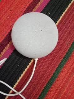 Google mini neast vice speaker