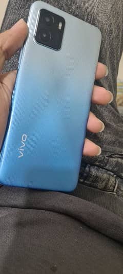 vivo