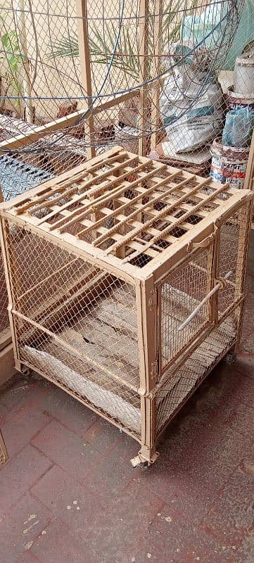 Different Size Cages 0