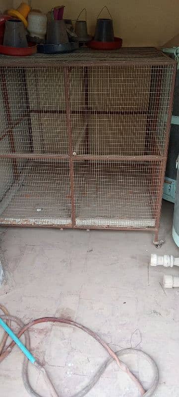 Different Size Cages 3