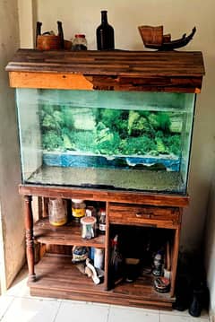 FISH AQUARIUM