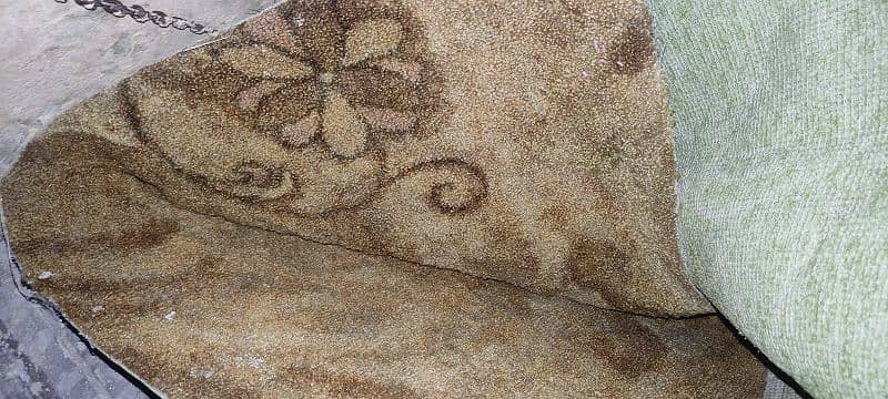 home used neat and clean carpet. 1