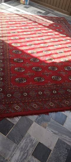 Carpet For Sale