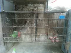 2 box and dabul story cage