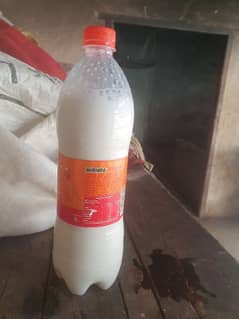 fresh goat milk available in rawalpindi