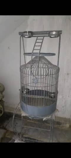 Cage for gray parrot