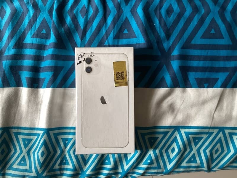 iPhone 11 0