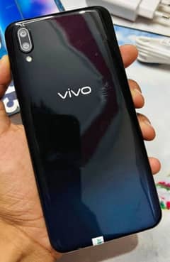 Vivo