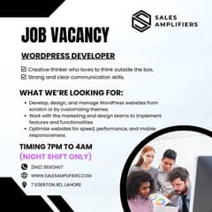 WordPress Developer (7pm to 4am)