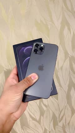 Iphone 12 pro max pta approved