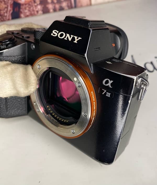 Sony a7iii body condition 10/8 all okay 5