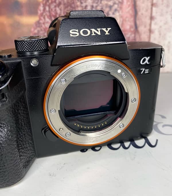 Sony a7iii body condition 10/8 all okay 9