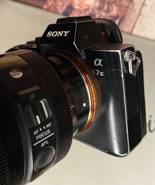 Sony a7iii body condition 10/8 all okay 12