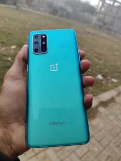 oneplus 8t