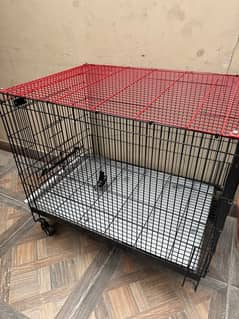 CAT DOG CAGE