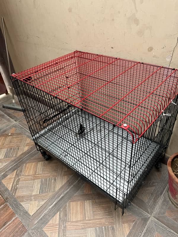 CAT DOG CAGE 1