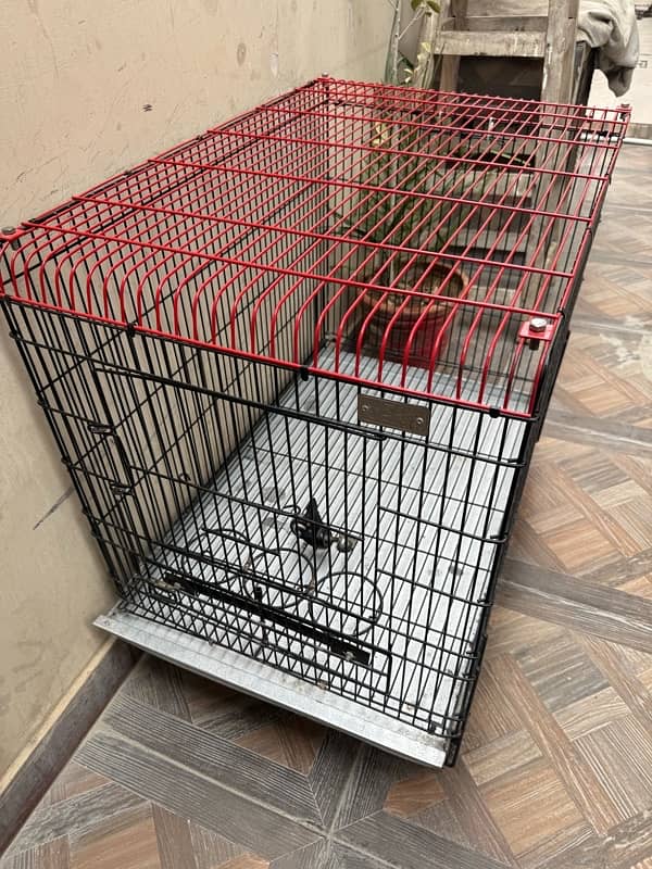 CAT DOG CAGE 2