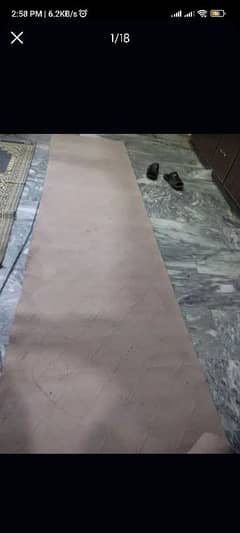 carpet