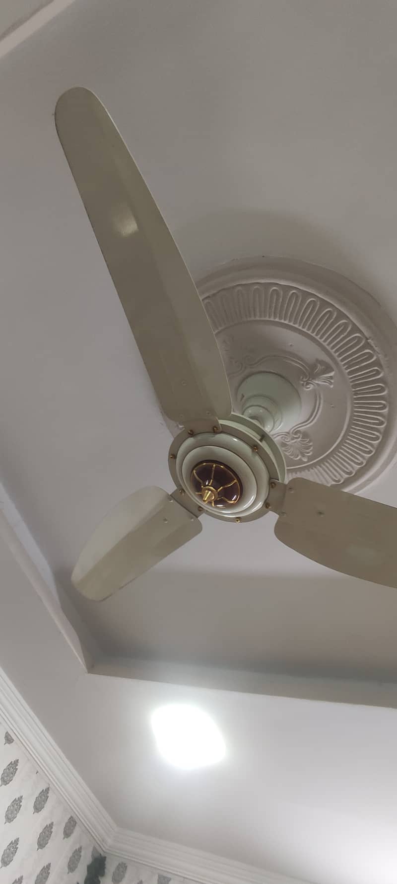 Fan condition 10 by 10 1