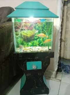 Aquarium in Excellent condition