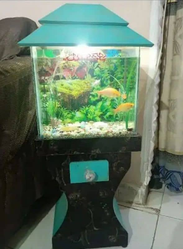 Aquarium in Excellent condition 0