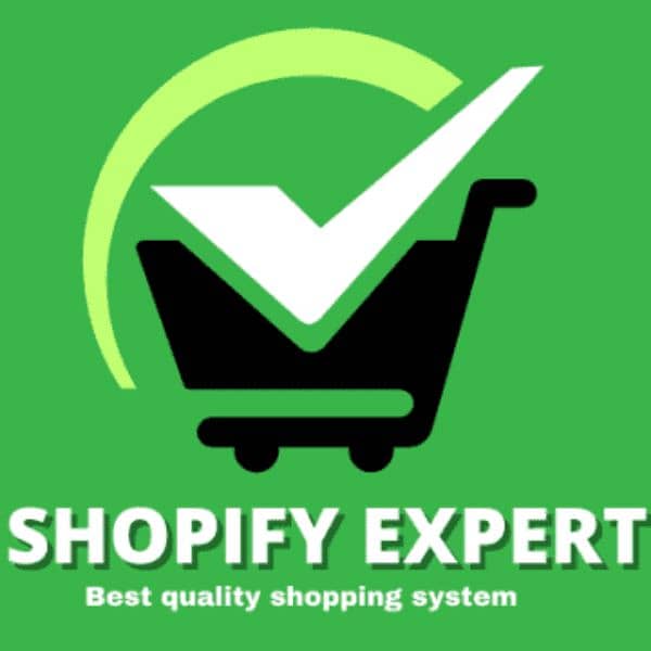 Shopify store designer 2