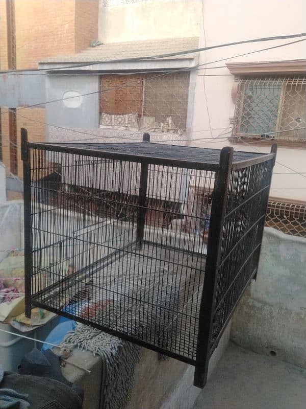 Cage for sale big size single portion 0