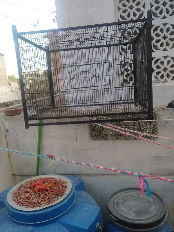 Cage for sale big size single portion 1