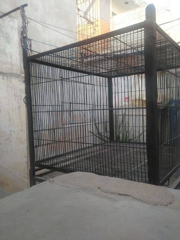 Cage for sale big size single portion 2