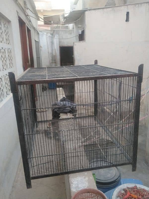 Cage for sale big size single portion 3