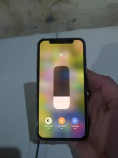 Apple iPhone X