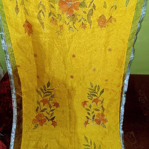 hand painting washable dupatta 1