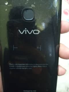 vivo