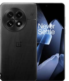 OnePlus 13