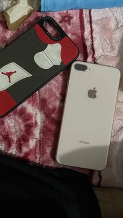 8 plus 256 PTA