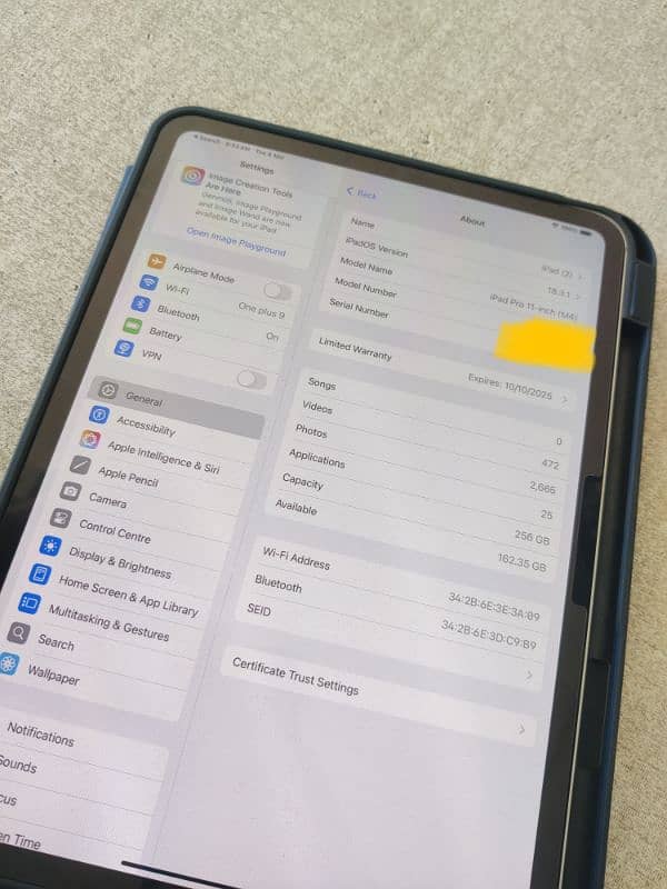 ipad pro m4 256 gb 4