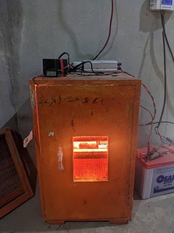 200 Eggs incubator for sale 2