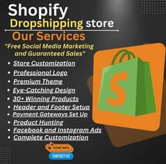 Shopify Stores Designs and customized