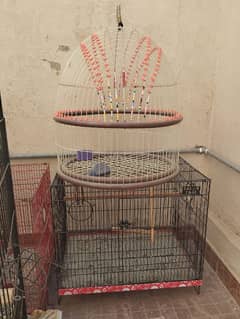 bird cage