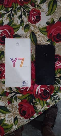 y7 prime with box