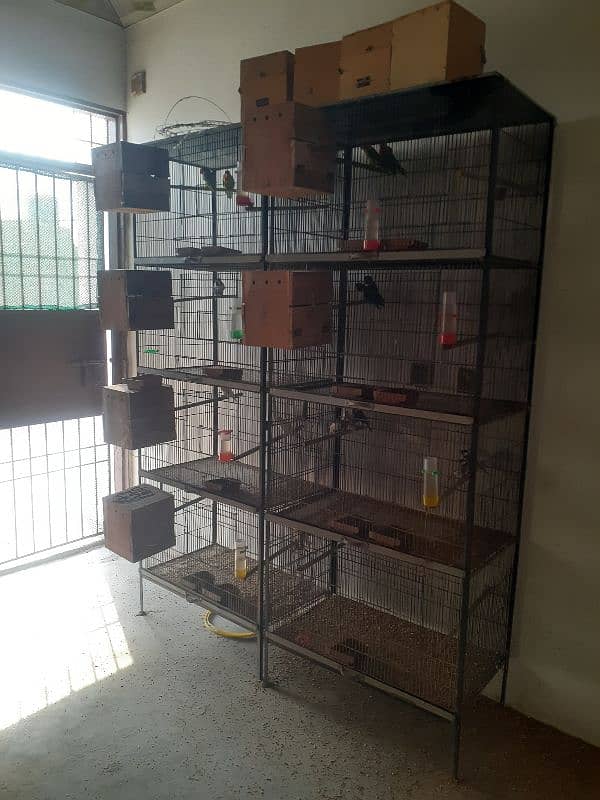 Cages And Boxsis 1