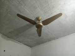 4 Pcs of Ceiling fans