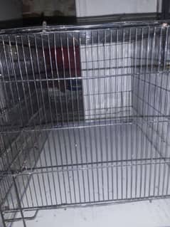 lovebirds cage